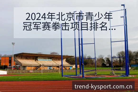 2024年北京市青少年冠军赛拳击项目排名变化与战术风险分 - 开云