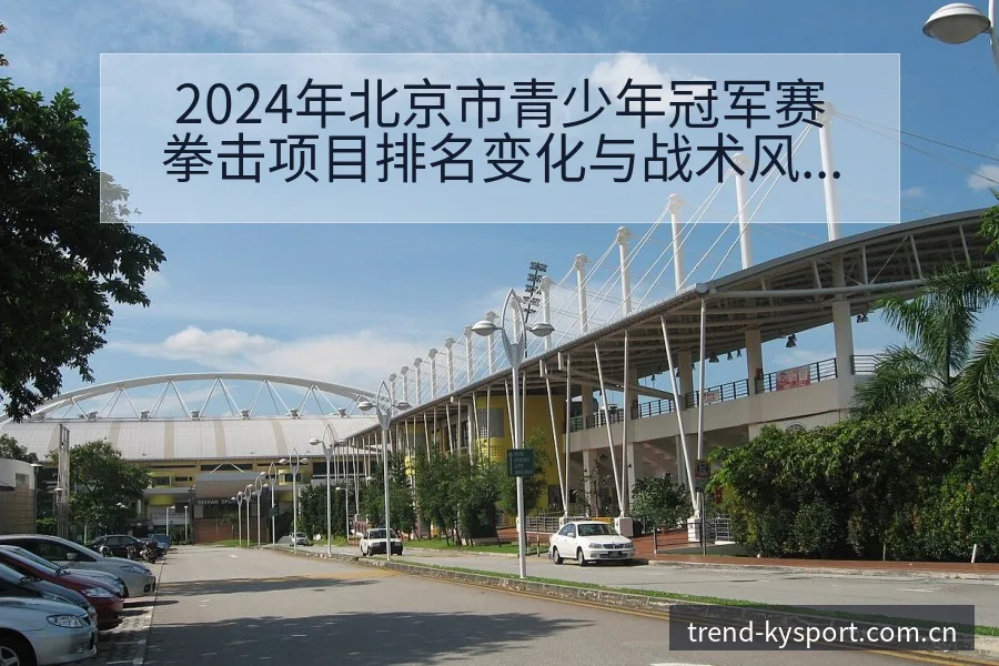 2024年北京市青少年冠军赛拳击项目排名变化与战术风险分 - 开云